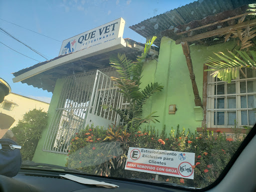 Mas Que Vet
