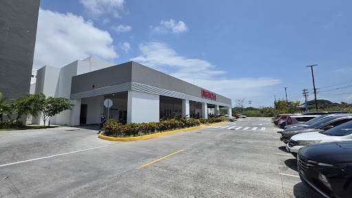 Nuevo Hospital Manuel Amador Guerrero