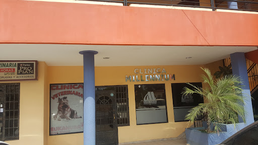Consultorio Especializado Dr. Amadeo Lezcano