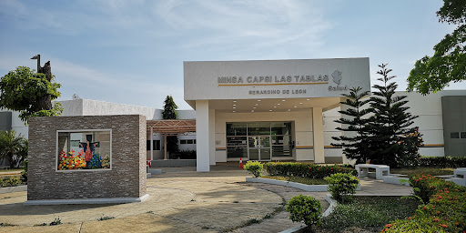 Minsa CAPSI | Las Tablas Gerardino De León