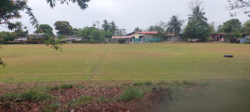 Campo Polideportivo • Finca 67