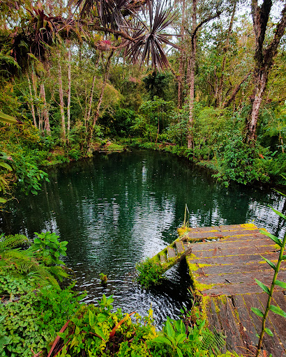 Finca Drácula